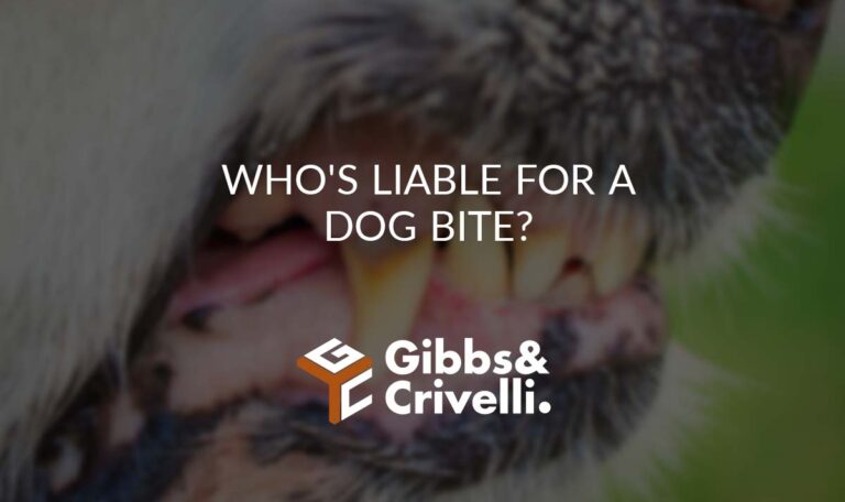 Who's Liable for a Dog Bite?