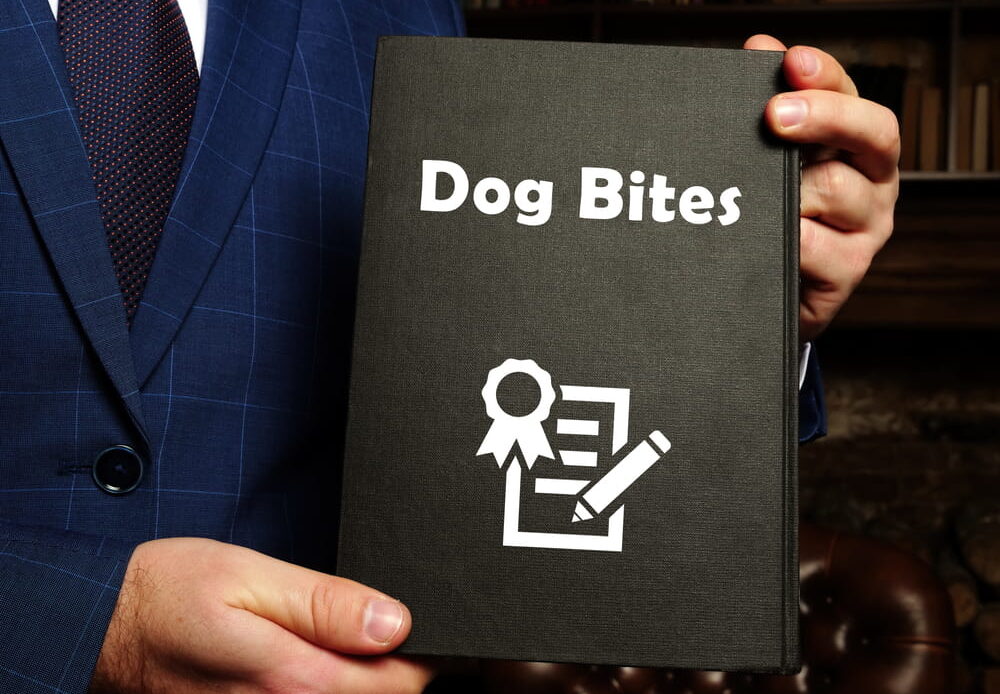 Legal professional holding document labeled dog bites, representing lawsuits and liability even if a dog has no history of biting