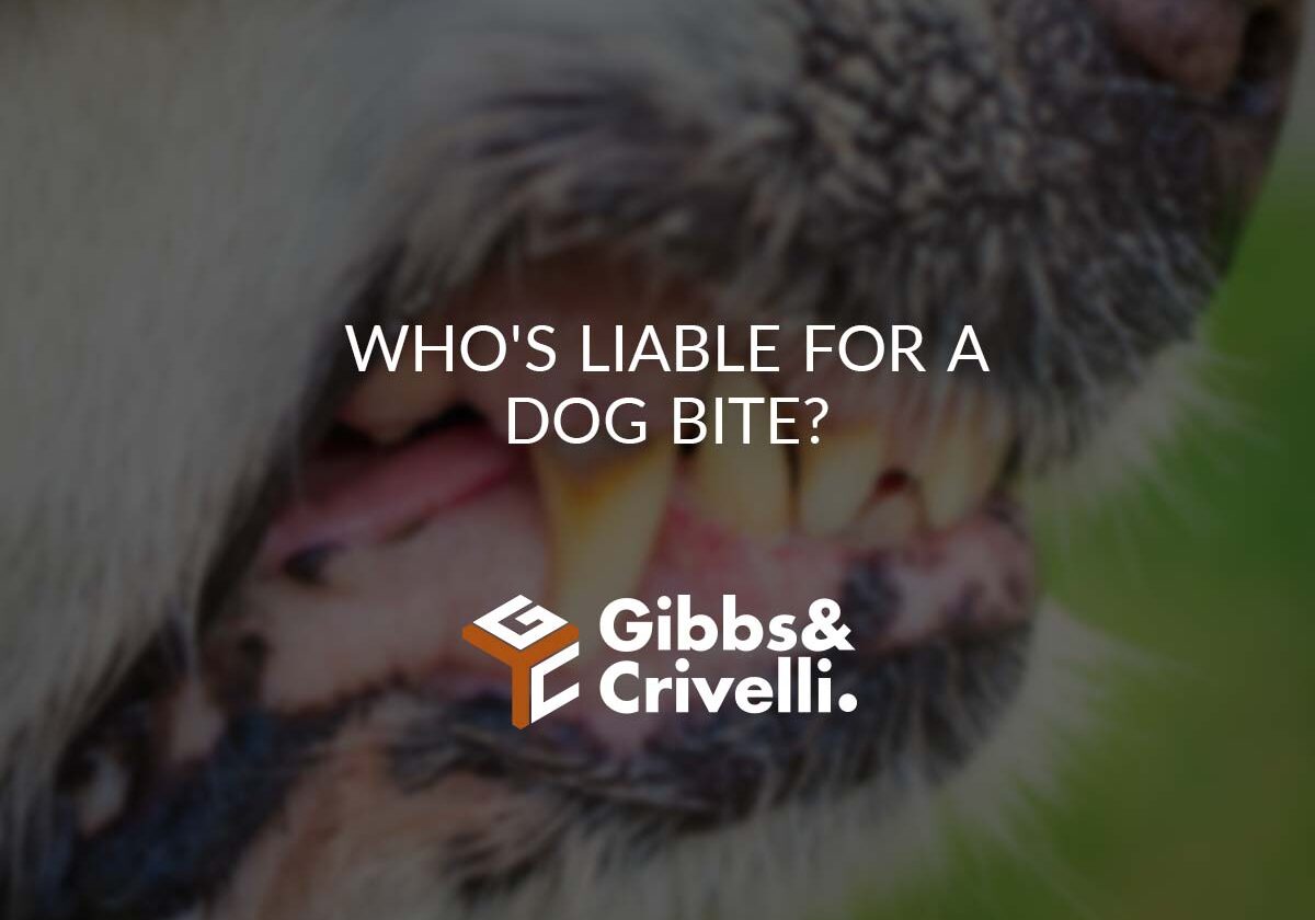 Who's Liable for a Dog Bite?